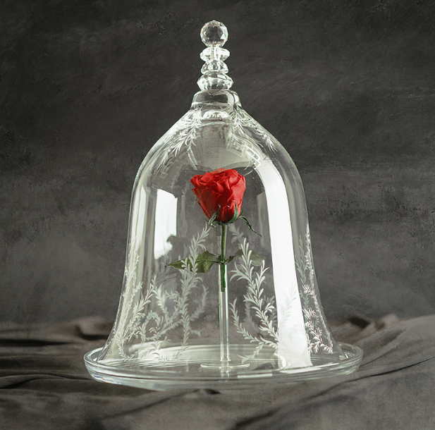 a rose under a glass cover, standing on a drapery of gray fabric